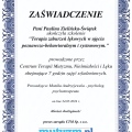 Powiększ obraz: certificate 14