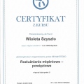 Powiększ obraz: certificate 8