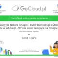 Powiększ obraz: certificate 4