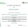 Powiększ obraz: certificate 16