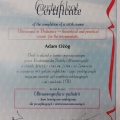Powiększ obraz: certificate 12