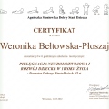 Powiększ obraz: certificate 28