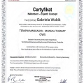 Powiększ obraz: certificate 15