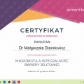 Powiększ obraz: certificate 10