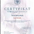 Powiększ obraz: certificate 16