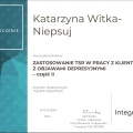 Powiększ obraz: certificate 9