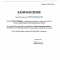 Powiększ obraz: certificate 1