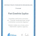 Powiększ obraz: certificate 2