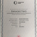 Powiększ obraz: certificate 13