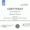 Powiększ obraz: certificate 7