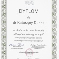 Powiększ obraz: certificate 1