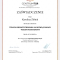 Powiększ obraz: certificate 7