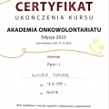 Powiększ obraz: certificate 6