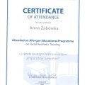 Powiększ obraz: certificate 9