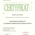 Powiększ obraz: certificate 4