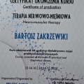 Powiększ obraz: certificate 21