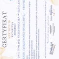 Powiększ obraz: certificate 11