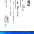 Powiększ obraz: certificate 38