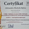 Powiększ obraz: certificate 66