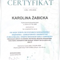 Powiększ obraz: certificate 14