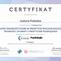 Powiększ obraz: certificate 4