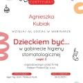 Powiększ obraz: certificate 7