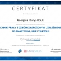 Powiększ obraz: certificate 5