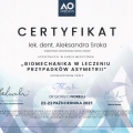 Powiększ obraz: certificate 1