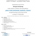 Powiększ obraz: certificate 5