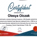 Powiększ obraz: certificate 7