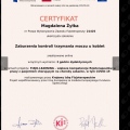 Powiększ obraz: certificate 4