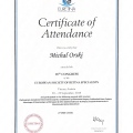 Powiększ obraz: certificate 14
