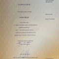 Powiększ obraz: certificate 2