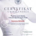Powiększ obraz: certificate 1