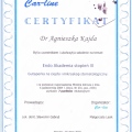 Powiększ obraz: certificate 2