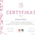 Powiększ obraz: certificate 1