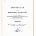 Powiększ obraz: certificate 6