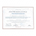 Powiększ obraz: certificate 26