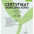 Powiększ obraz: certificate 4