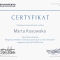 Powiększ obraz: certificate 10