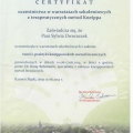 Powiększ obraz: certificate 17