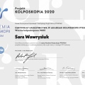 Powiększ obraz: certificate 9