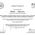 Powiększ obraz: certificate 4