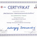 Powiększ obraz: certificate 10