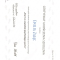 Powiększ obraz: certificate 5