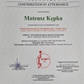 Powiększ obraz: certificate 12