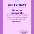 Powiększ obraz: certificate 4
