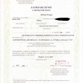 Powiększ obraz: certificate 7