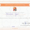 Powiększ obraz: certificate 7