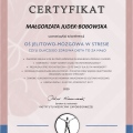 Powiększ obraz: certificate 4
